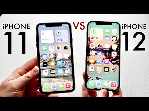 iphone 11 screen review